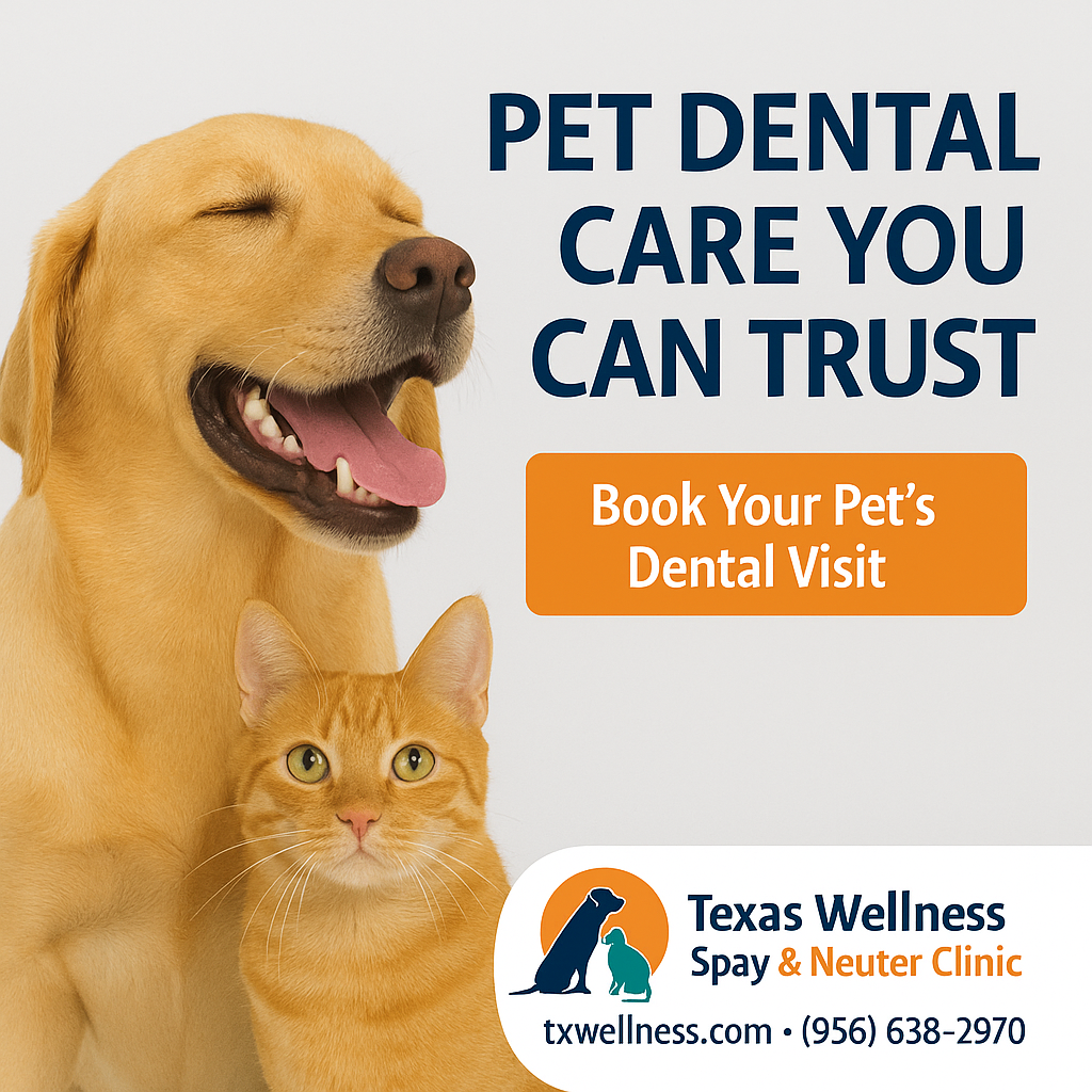 Pet Dental Care