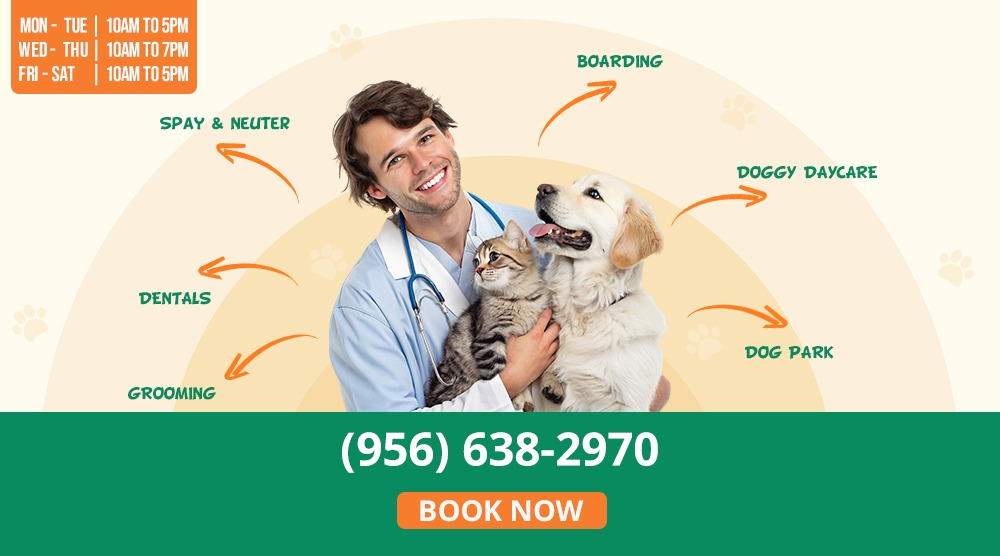 February wellness pop-up event Texas promotion banner