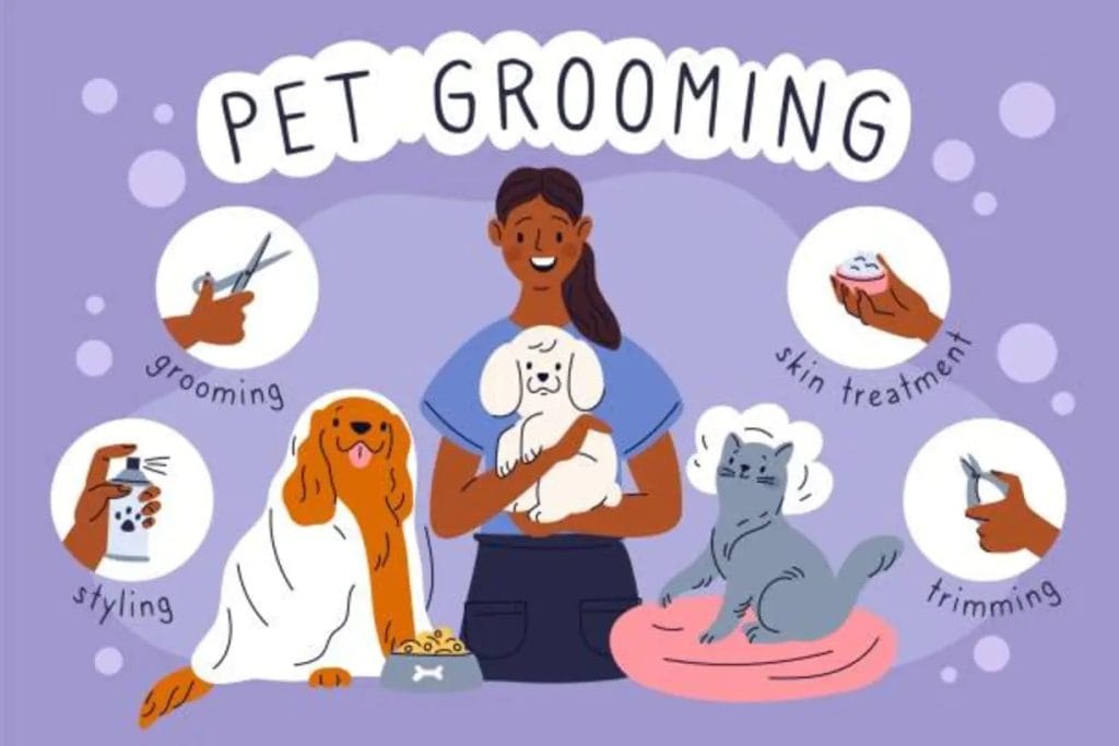 Choosing-the-Best-Grooming-and-Veterinary-Services-for-Your-Pet